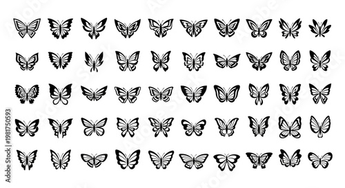 Collection of various butterfly illustrations.