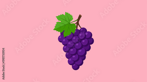 Purple grapes bunch with green leaf.