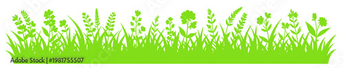 Bright green meadow border with grass blades wildflowers and leafy stems forming a fresh natural horizontal edge ideal for spring designs eco themes and outdoor layouts