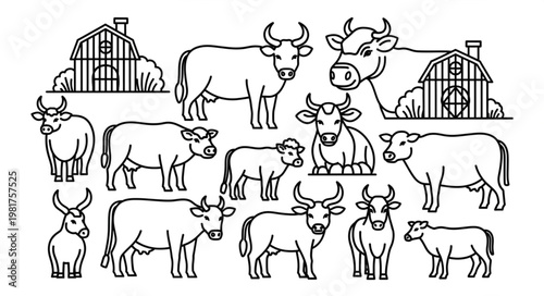 Collection of Hand Drawn Cows and Barns Illustration.