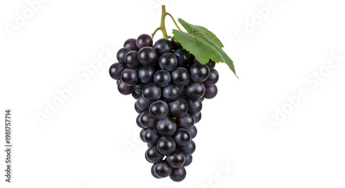 Bunch of black grapes with leaf isolated on transparent background
