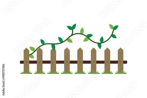 Wooden picket fence with climbing vine and green leaves for garden decoration vector illustration