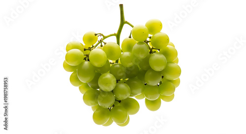 Green grapes on the vine isolated on transparent background