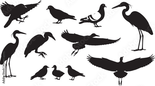 A diverse collection of elegant bird silhouettes, featuring majestic herons, graceful flying fowl, and peaceful aquatic species, ideal for nature-themed graphic design projects