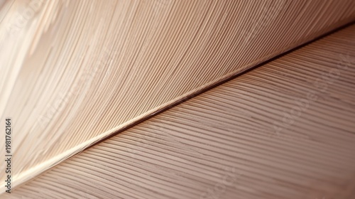 Macro close-up of textured old book pages on wood, green leaves and feathers, abstract nature scene with coffee tones and white paper