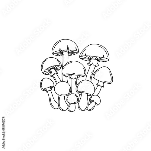 Detailed black and white illustration of various mushroom types in a cluster.
