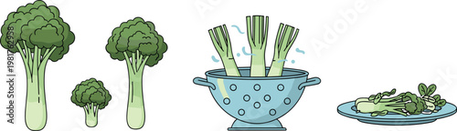 Broccoli vegetable preparation set with fresh florets washing cooking and serving, healthy food illustration isolated on white background