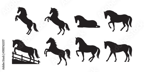 Collection of horse silhouettes showing various poses rearing jumping and resting isolated on white background.