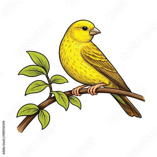 Yellow canary perched on a branch with leaves yellow bird small bird cute animal wild bird illustration art graphic art digital art nature art wildlife art garden bird tree branch songbird
