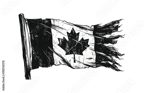Distressed and tattered Canadian flag waving in the wind in a detailed black and white sketch
