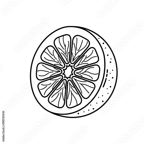 Black and white illustration of a sliced orange fruit, perfect for design.