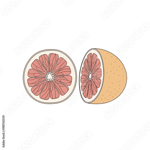 Freshly cut grapefruit halves isolated on a white background, healthy food.