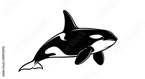 Orca Killer Whale Silhouette Vector Illustration