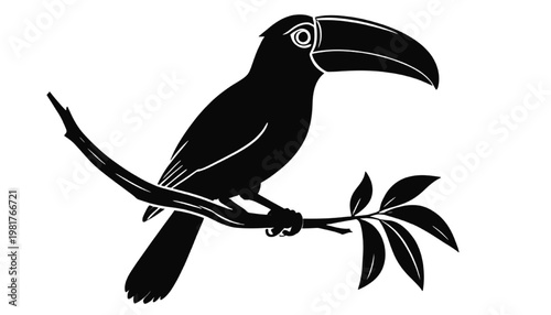 Toucan Bird Silhouette Logo Design – Tropical Wildlife Illustration on Branch for Jungle Nature Brand, Exotic Animal Emblem, Minimalist Icon