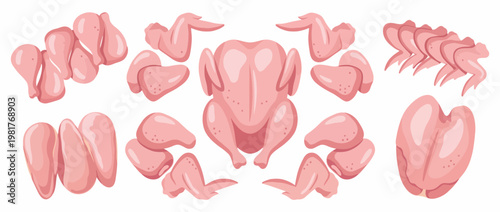 An assortment of raw chicken parts is displayed, including wings, thighs, and breast, highlighting the different cuts as an essential ingredient for various culinary dishes.