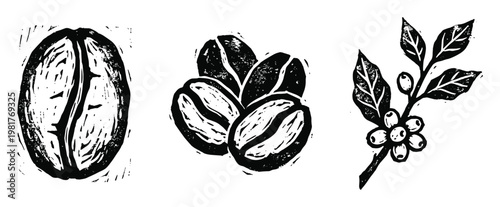 Coffee beans linocut illustration, coffee plant, single bean design