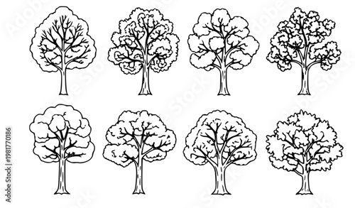 Hand drawn tree leaf collection botanical vector set