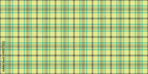 Self tartan seamless vector, gift card textile pattern fabric. Upscale background check texture plaid in lime and green colors.