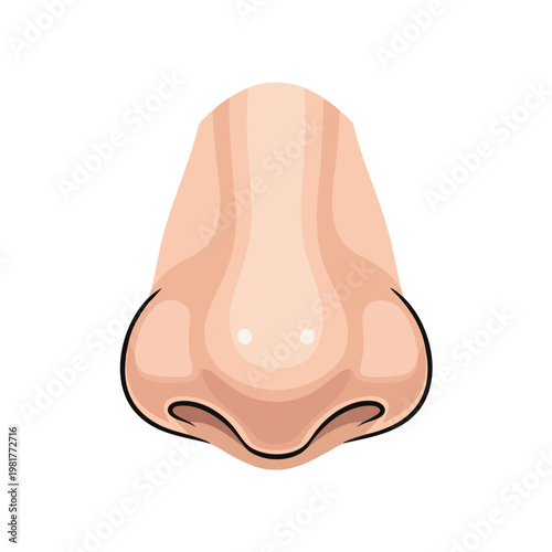 Close up of a Realistic Human Nose Illustration for Medical and Health Themes