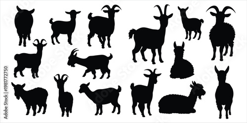 Assortment of black silhouettes of goats and a llama in different poses on white animal farm