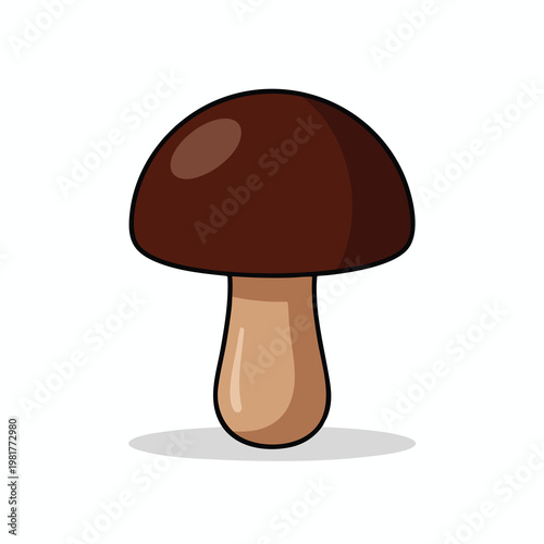 Close up of a Wild Mushroom with a Smooth Dark Brown Cap and Light Stem