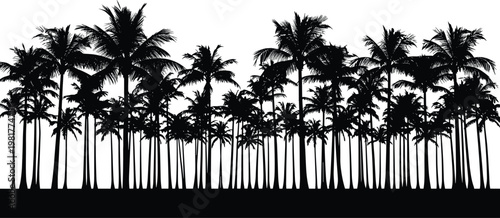 Palm tree forest silhouettes vector, tropical beach jungle landscape, black coconut trees skyline isolated on white background illustration design