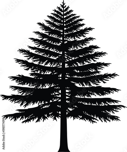 Pine tree silhouette vector, evergreen conifer tree icon, black forest nature element isolated on white background illustration