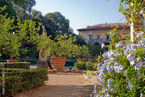 Giardino Corsini al Prato: view of the palace, with box hedging, lemon trees and statuary, Florence, Tuscany, Italy