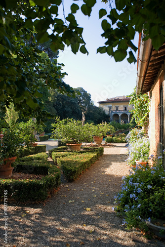Giardino Corsini al Prato, Florence: view of the palace across the box hedging, lemon trees and statuary