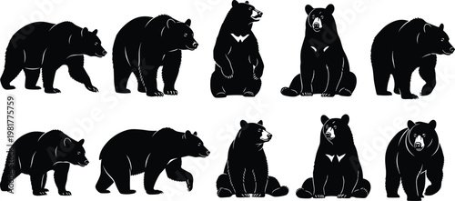 Bear silhouettes collection vector, wild forest animals set, black bear poses isolated, wildlife mammal illustration design elements pack