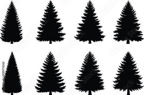 Fir tree silhouettes collection vector, evergreen pine forest set, black conifer trees isolated on white background illustration design