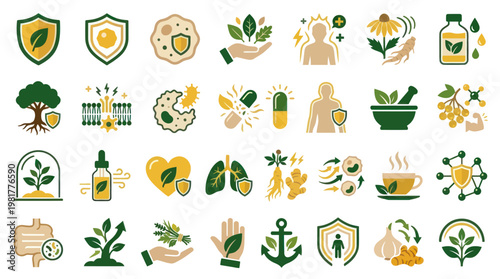 Natural Herbal Medicine and Immune System Support Wellness Icon Set