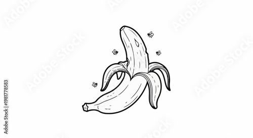 Open banana with flies around it, line art