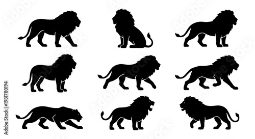 Lion silhouette vector set, 9 black lion icons in various poses, majestic male lion standing and walking silhouettes, wild animal graphic elements