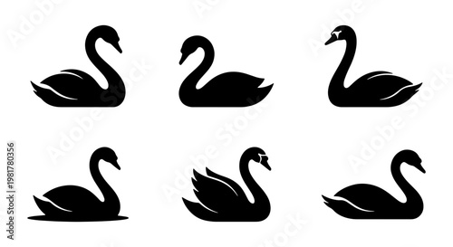 Elegant swan silhouette icons set, minimalist black bird vector illustrations, 6 graceful waterfowl elements for luxury branding and wedding design