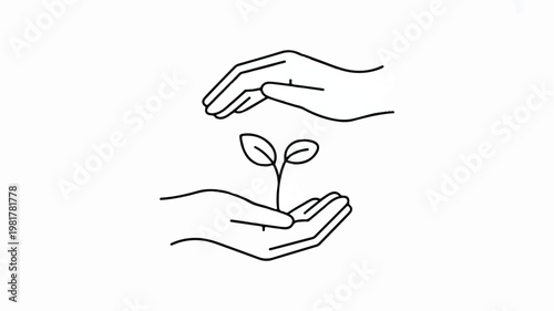 Caring hands gently protect a delicate sprout, symbolizing growth, nurturing, and the protection of nature and new beginnings