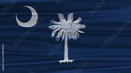 South Carolina flag waving in the wind with high quality fabric texture