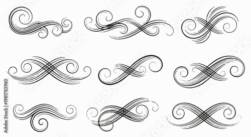 Ornate black graphic flourishes with a textured brushstroke appearance