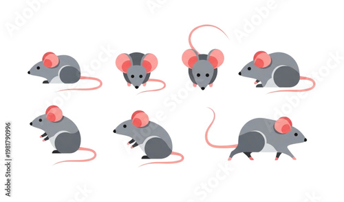 Minimalist mouse icon set with gray cute rodents in different poses flat vector illustration isolated on white background