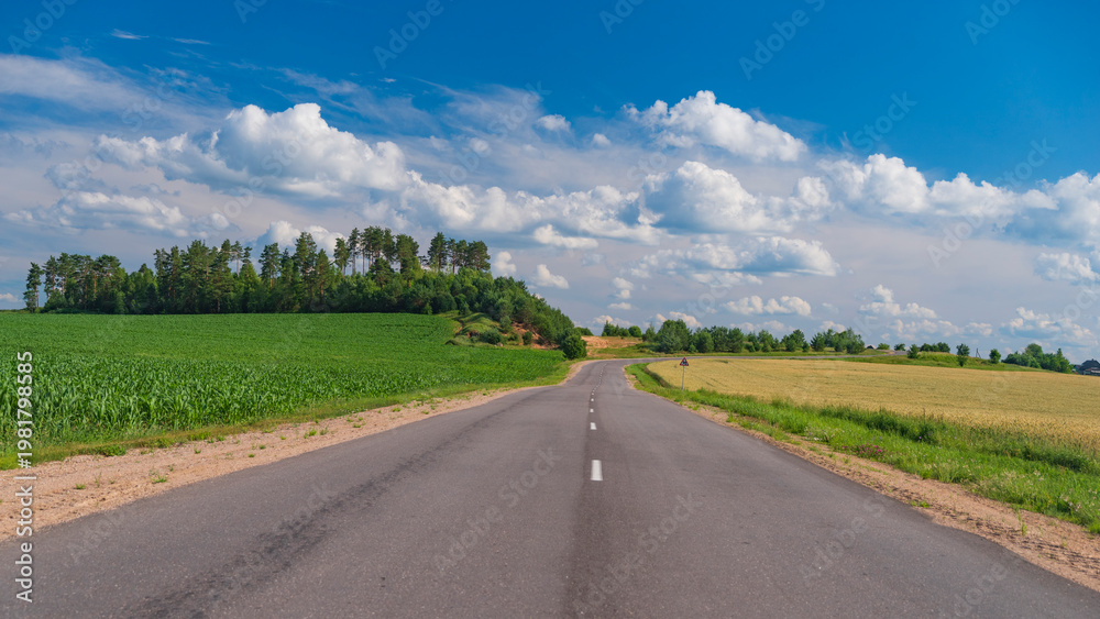 Fototapeta premium Winding Asphalt Road Through Summer Fields Under Blue Cloudy Sky with copy space