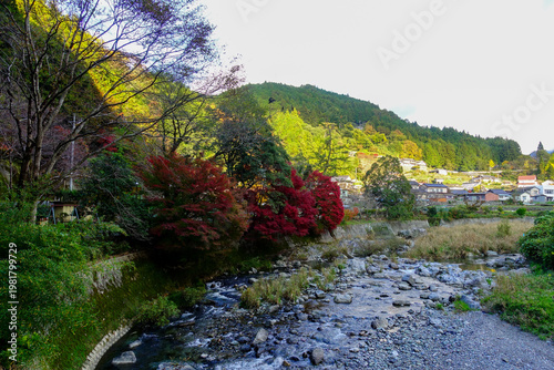 Rocky river with autumn foliage and rural village in Shikoku Henro Japan