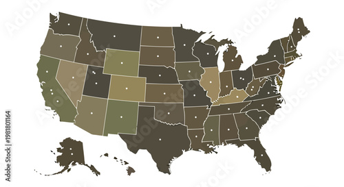United States map illustration with shaded states and white dots on white background