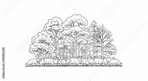 Sheep graze peacefully in a meadow at the edge of a dense forest