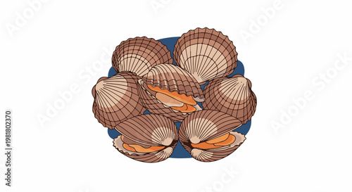 Several open and closed seashells with orange insides arranged on blue