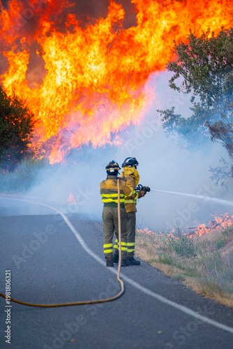 Картината върху платно Firefighters battling massive wildfire with water hose The Concept of Bravery