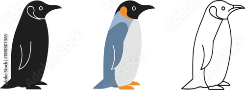 Vector Illustration Set of King Penguin in Three Styles Including Full Color Black Silhouette and Hand Drawn Line Art Sketches