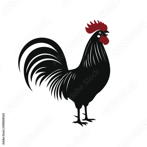 Rooster silhouette with silhouette set black silhouette vector silhouette isolated on white silhouette collection icon set vector icons minimal design clipart silhouette bird icon cockerel