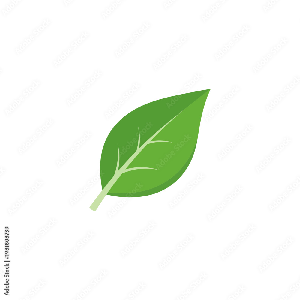Obraz premium Single green leaf graphic icon isolated on white background with eco friendly