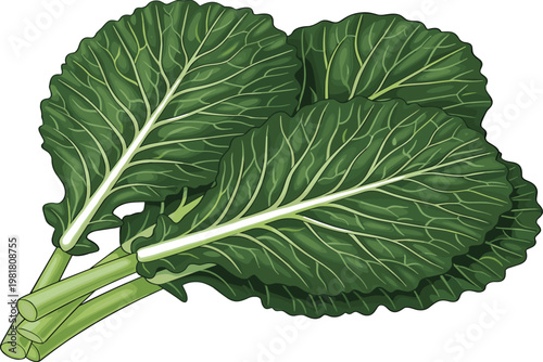 Vintage Hand Drawn Corn Ear with Husk, Stipple Engraving Style Vector Illustration, Isolated on Black Background for Organic Farming,