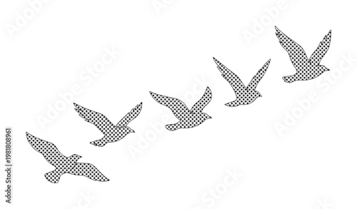 Flying birds vector illustration, a flock of six seagulls in flight, minimalist black and white avian design, freedom and nature concept for graphic projects